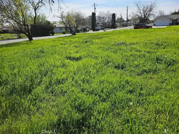 Corning, CA 96021,0 MARGUERITE