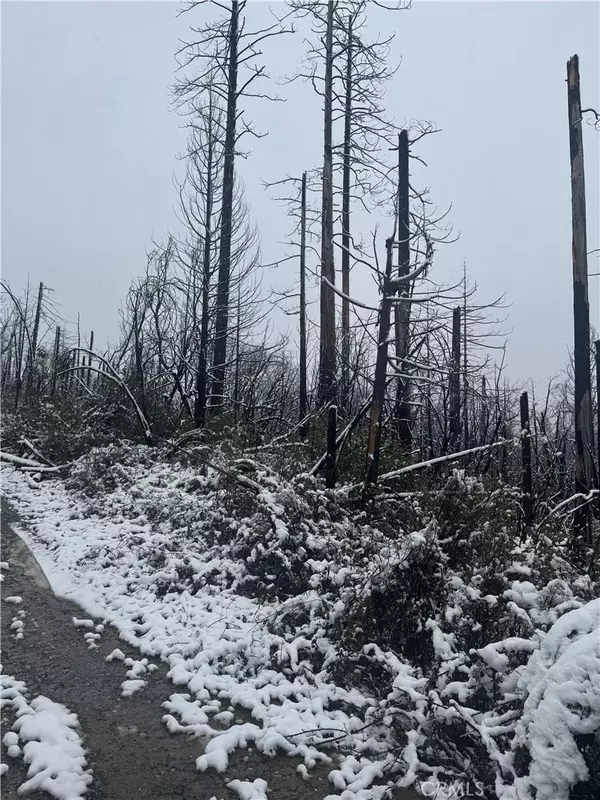 Berry Creek, CA 95916,0 Seminole