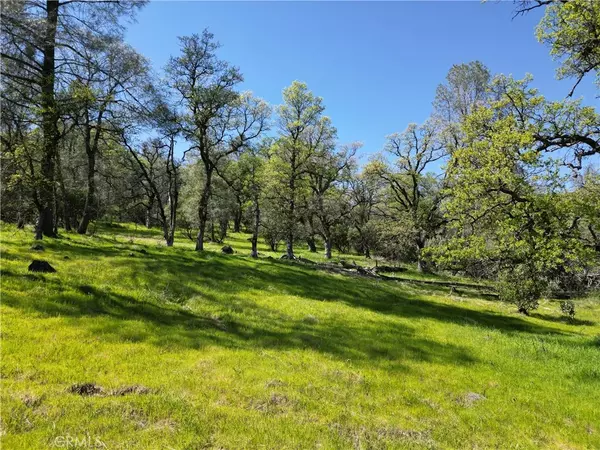 Oroville, CA 95965,0 Hidden Mine Rd