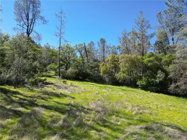 Oroville, CA 95965,0 Hidden Mine Rd