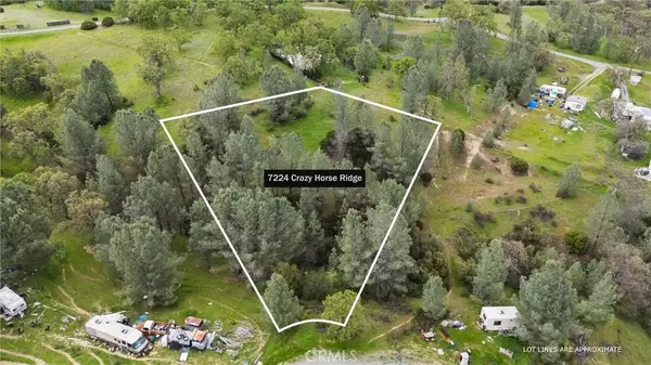 Corning, CA 96021,7224 Crazy Horse Ridge