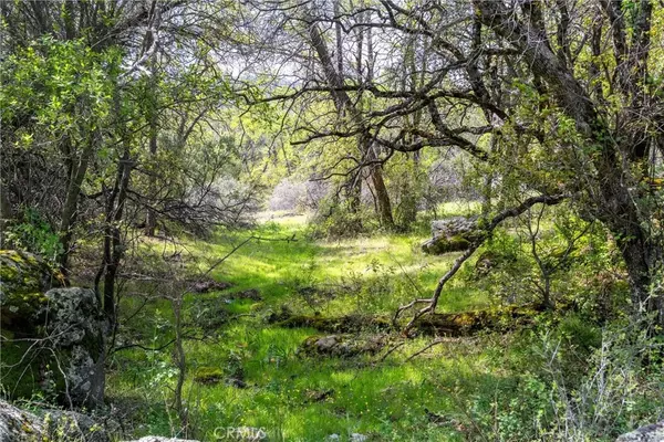 Oroville, CA 95966,0 W Sandra