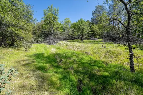 Oroville, CA 95966,0 W Sandra