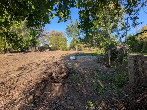Willows, CA 95988,421 5th