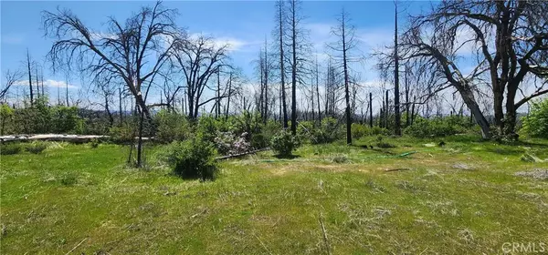 Berry Creek, CA 95916,51 Horseshoe