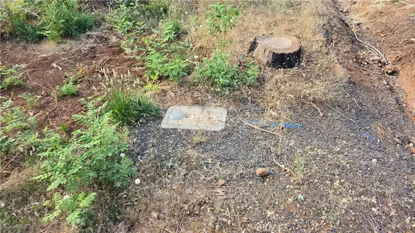 Paradise, CA 95969,7279 Pentz