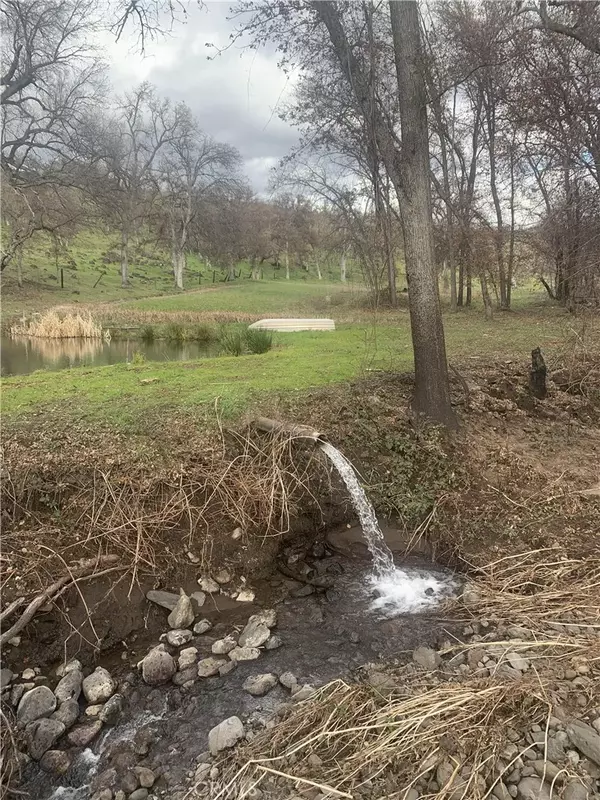 Paynes Creek, CA 96075,31120 Moulton