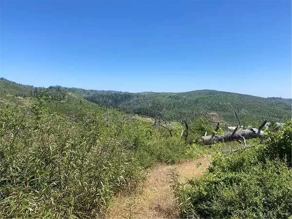 Oroville, CA 95965,3510 Stone Mountain