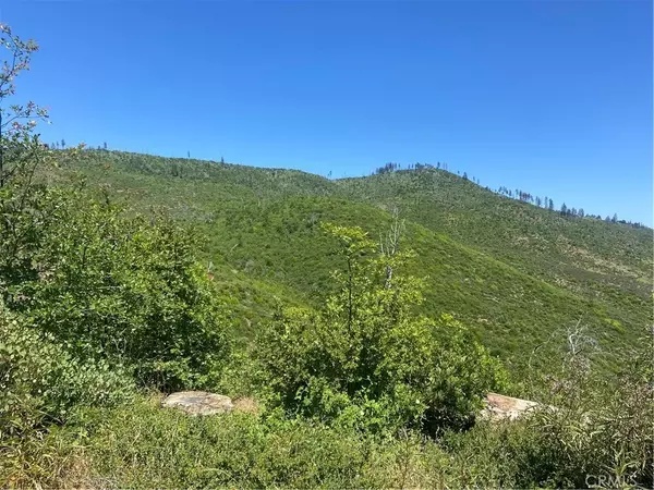 Oroville, CA 95965,3510 Stone Mountain