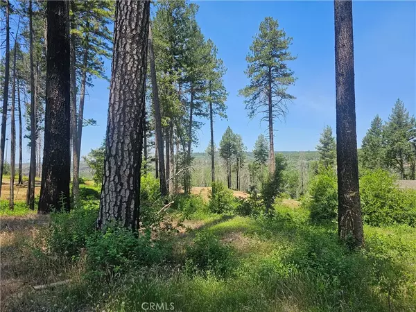 6649 Lincoln, Paradise, CA 95969