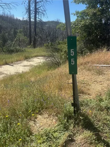 55 Town Hill, Berry Creek, CA 95916