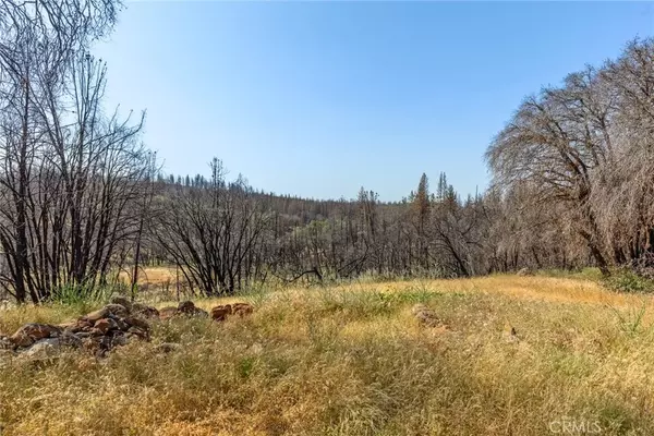 Chico, CA 95973,105 Harvey