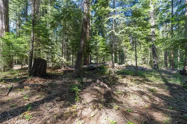 Butte Meadows, CA 95942,7472 Humboldt