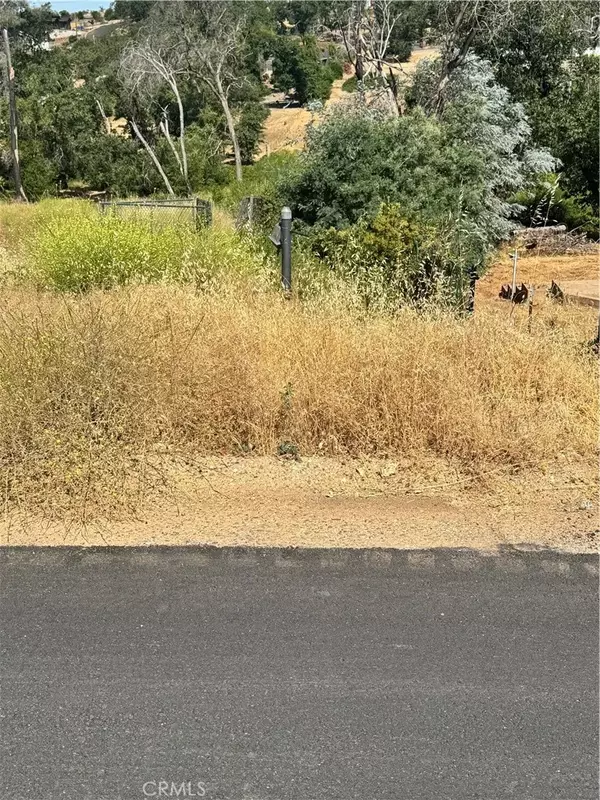Paradise, CA 95969,0 Redbud