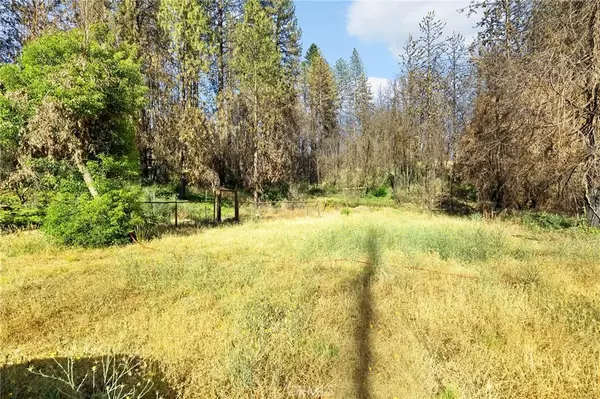 Cohasset, CA 95973,9640 Cohasset