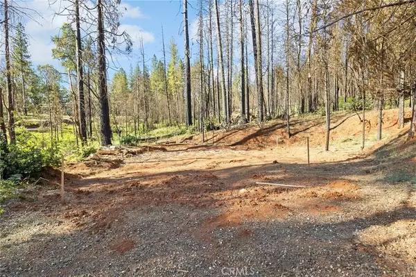 Cohasset, CA 95973,9640 Cohasset