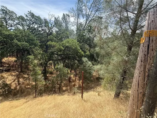 Corning, CA 96021,16295 Hillcrest