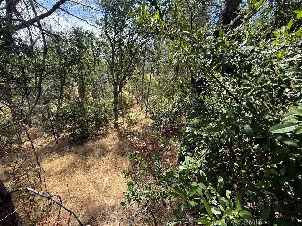 Corning, CA 96021,16305 Hillcrest