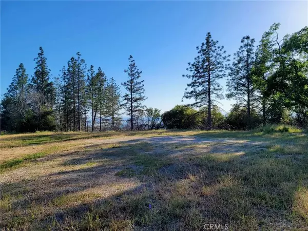 Oroville, CA 95965,3512 Skycrest