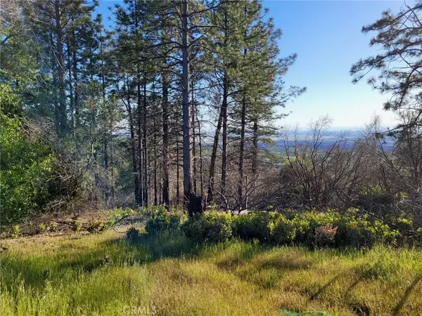 Oroville, CA 95965,3512 Skycrest