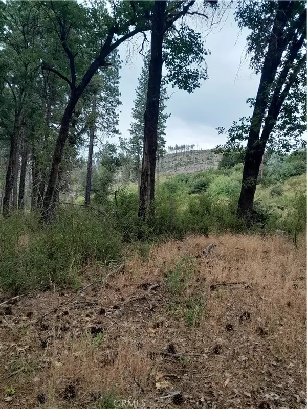 Oroville, CA 95965,3979 Yellow Wood