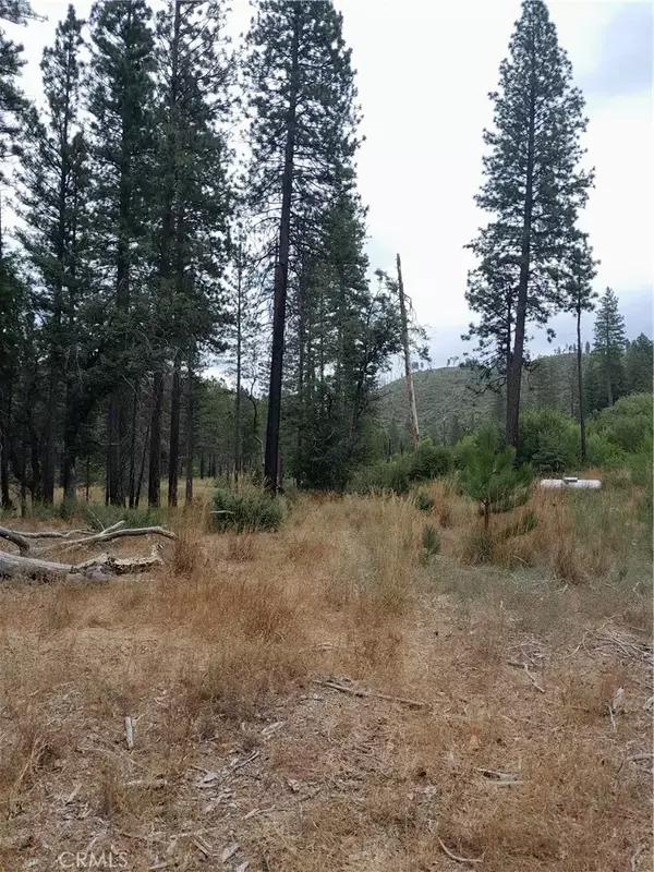 Oroville, CA 95965,3979 Yellow Wood