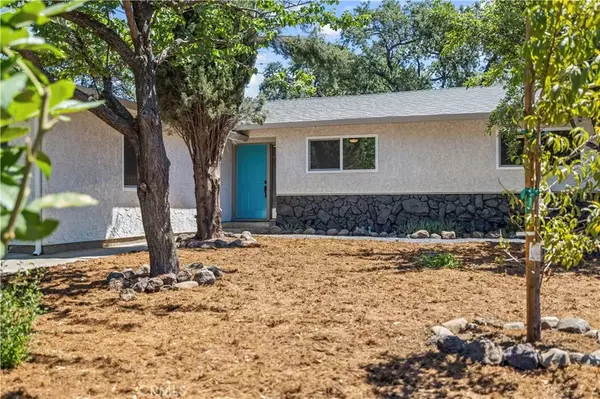 Chico, CA 95926,1683 Park View Lane