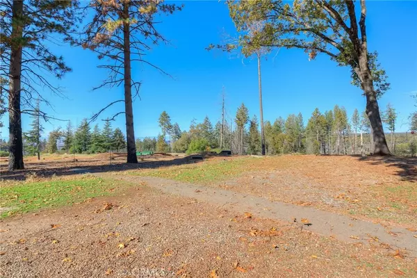 Paradise, CA 95969,8797 Skyway