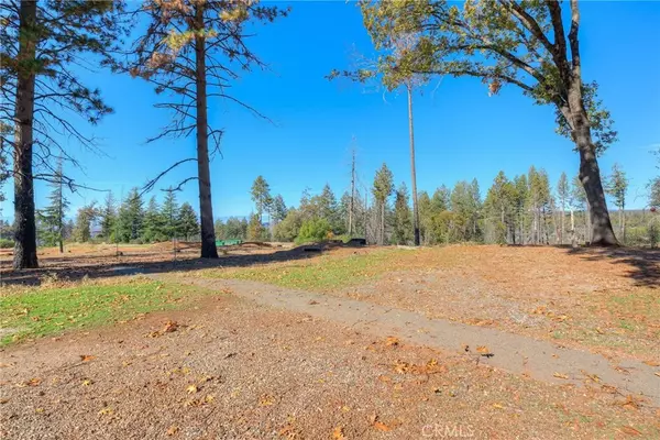 Paradise, CA 95969,8797 Skyway