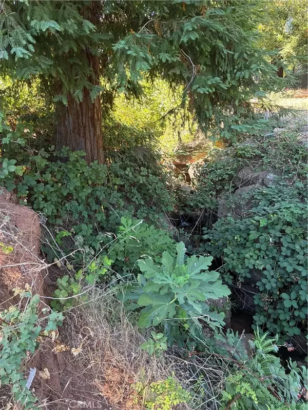 Paradise, CA 95969,6676 Twin Oaks Drive