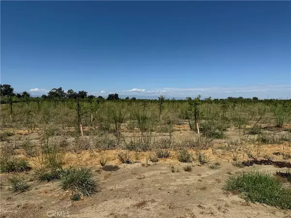 Corning, CA 96021,0 Mary Ave