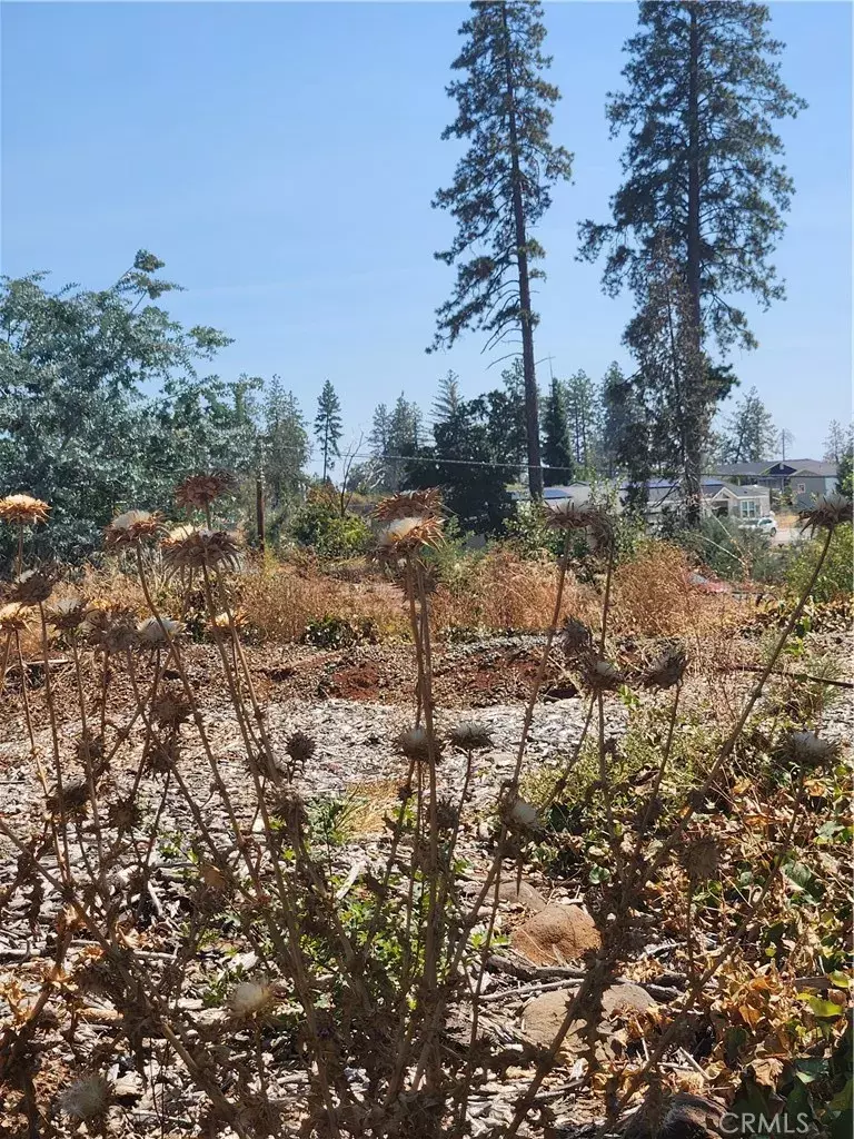 Berry Creek, CA 95916,420 Simpson Ranch