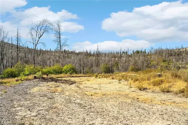 Berry Creek, CA 95916,482 Zink