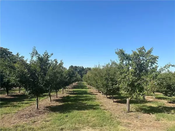 Red Bluff, CA 96080,24365 Oklahoma