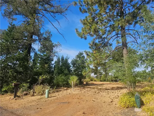 Paradise, CA 95969,5723 Round Tree