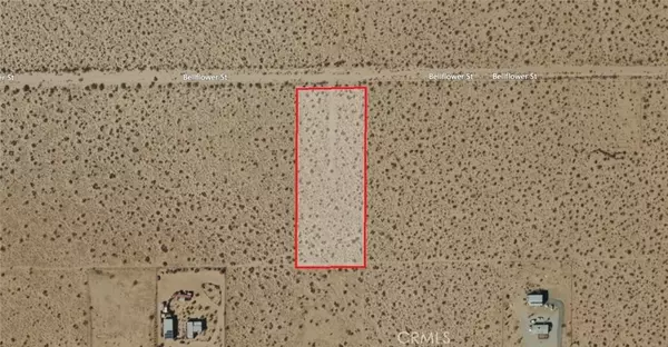 303 Bellflower, Joshua Tree, CA 92252