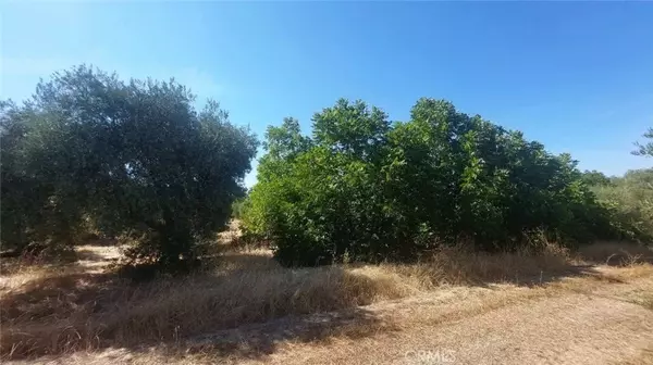 Corning, CA 96021,0 Finnell Avenue