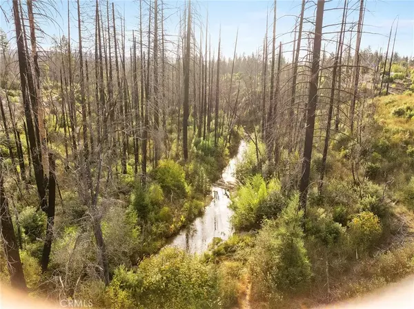 Berry Creek, CA 95916,0 Gamble