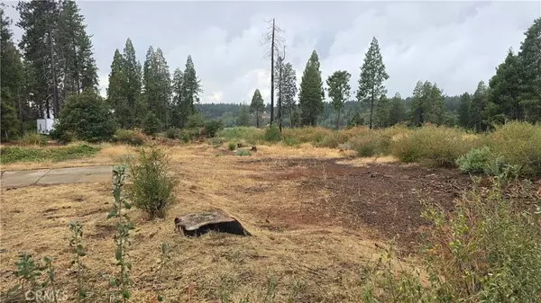 Magalia, CA 95954,6167 Ponderosa