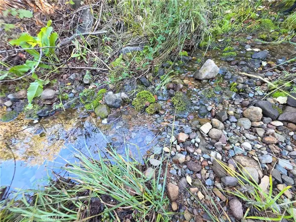 Weed, CA 96094,0 Muledeer Rd.