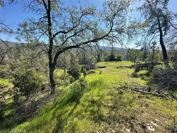 Oroville, CA 95966,169 Shady Oak