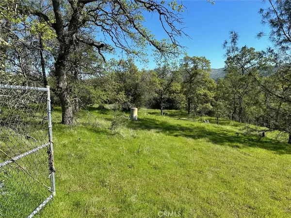 Oroville, CA 95966,169 Shady Oak