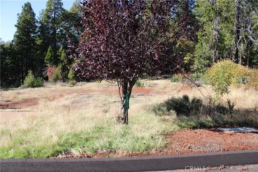 13911 Cluster, Magalia, CA 95954