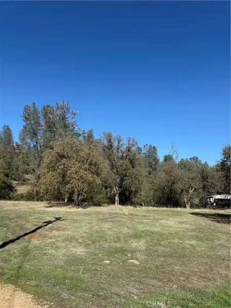 16712 Stagecoach Rd, Corning, CA 96021