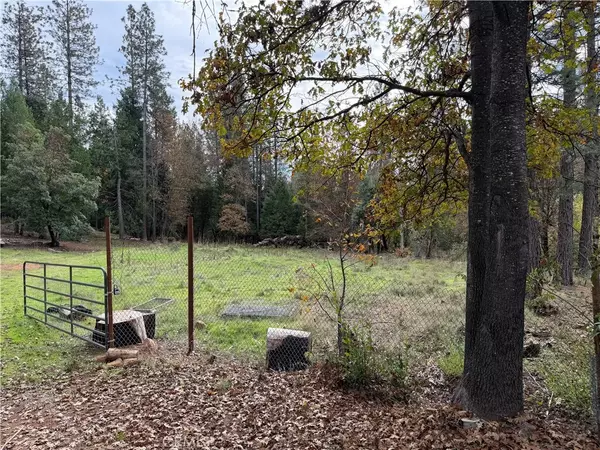 Brownsville, CA 95919,8890 La Porte