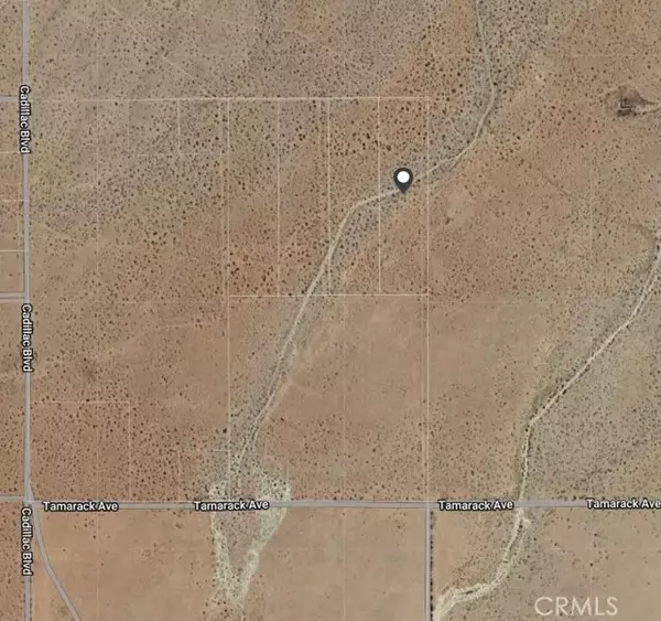 0 Tamarack, California City, CA 93505
