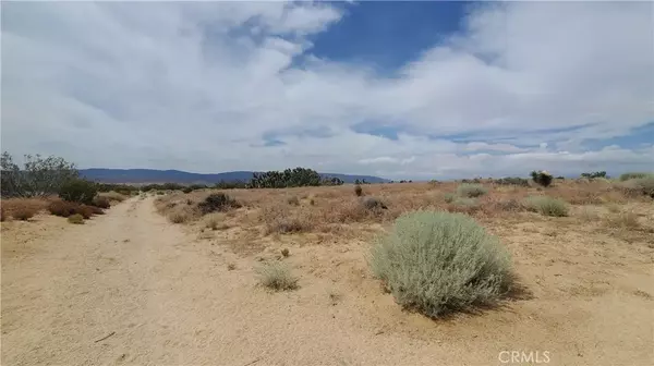 Rosamond, CA 93560,0 Sue Avenue & 245th St W.