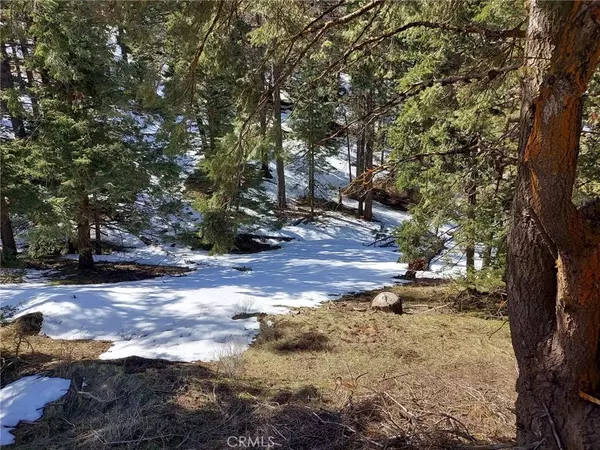 Alpine Forest, CA 93561,16701 Matterhorn