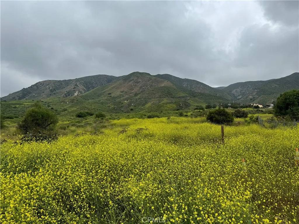 11275 Hadler, Kagel Canyon, CA 91342