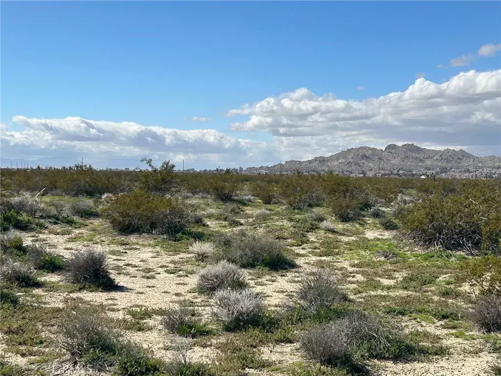 Black Butte, CA 93591,0 Avenue P-12